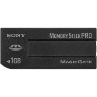 Sony MSX-1GS